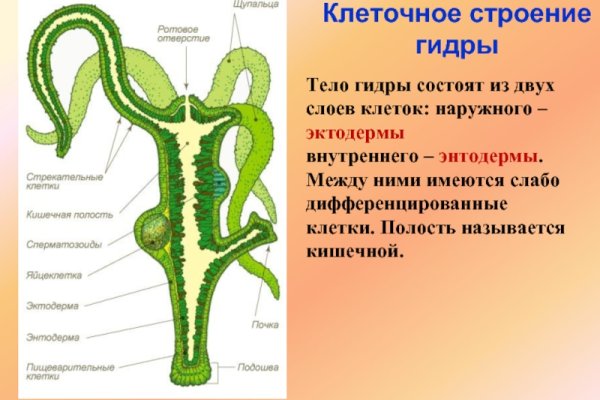 Кракен 15at