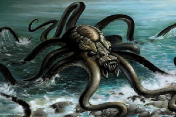 Kraken official